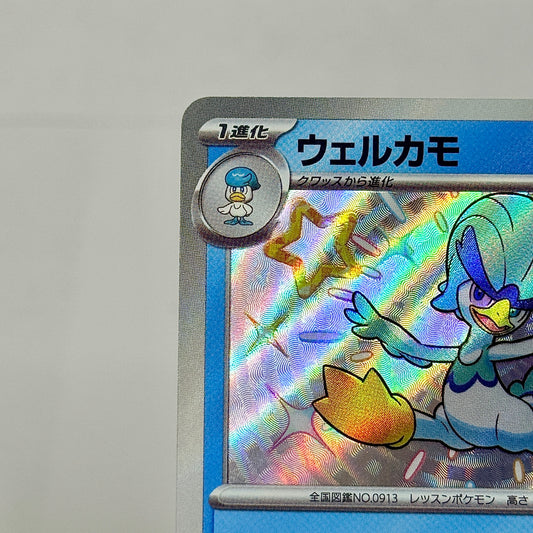 Quaxwell (JP) 225/190