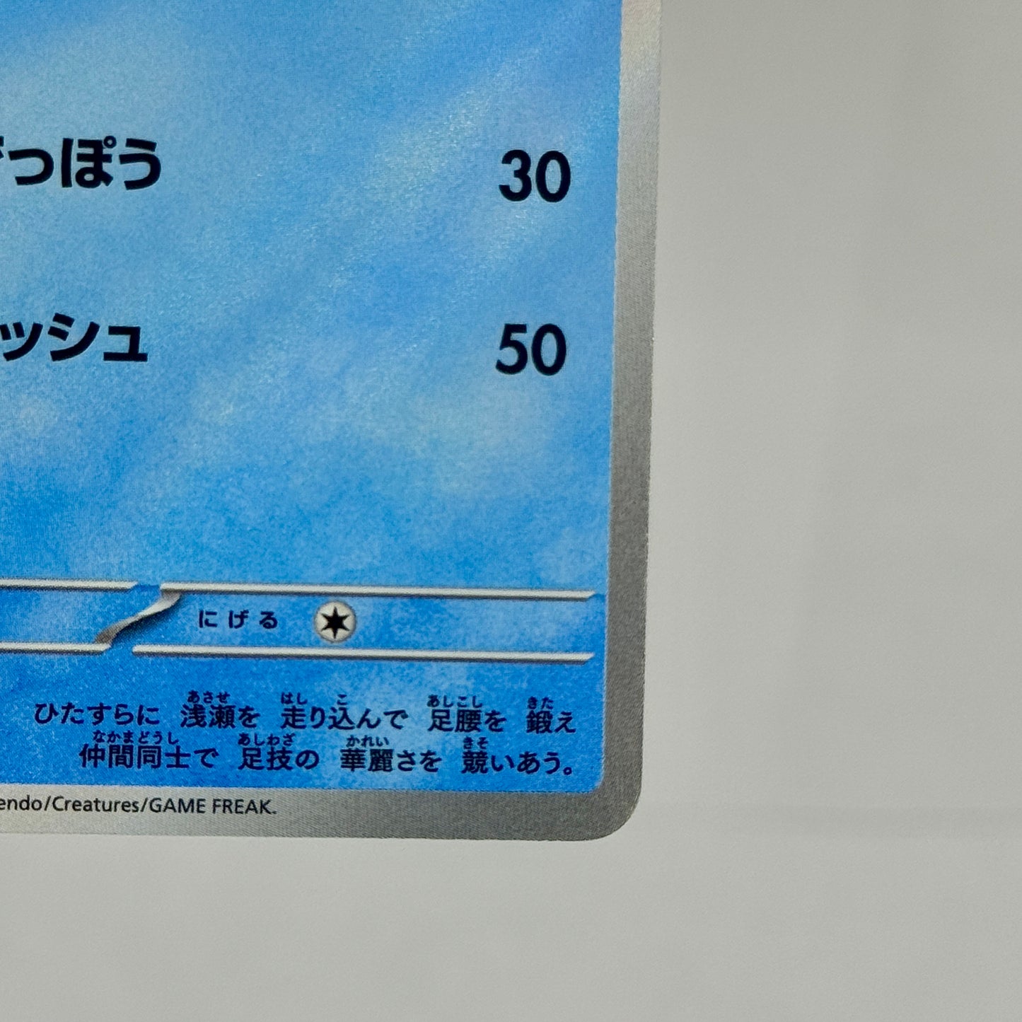 Quaxwell (JP) 225/190