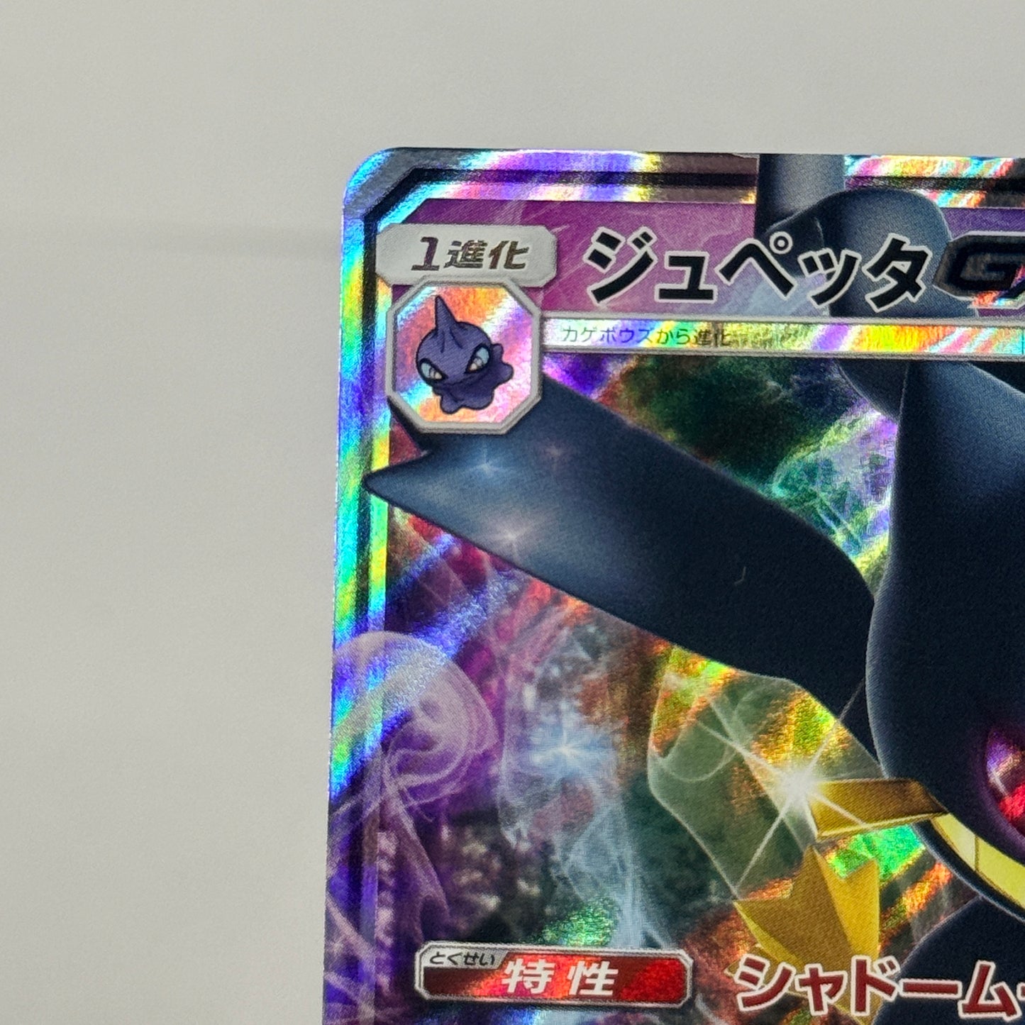 Salamence & Banette GX (JP) Bundle