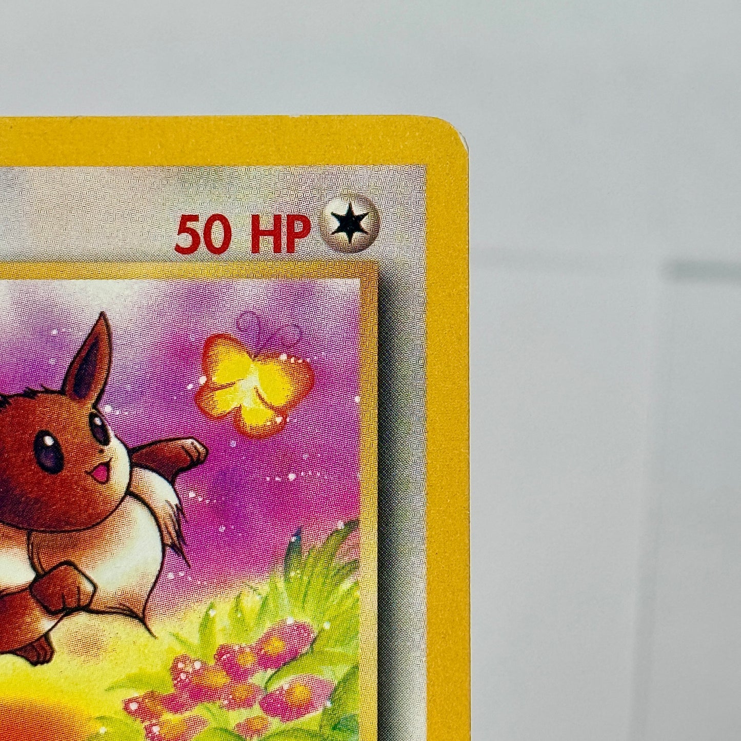 Eevee 51