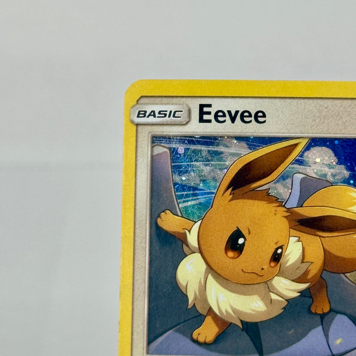 Eevee SM235