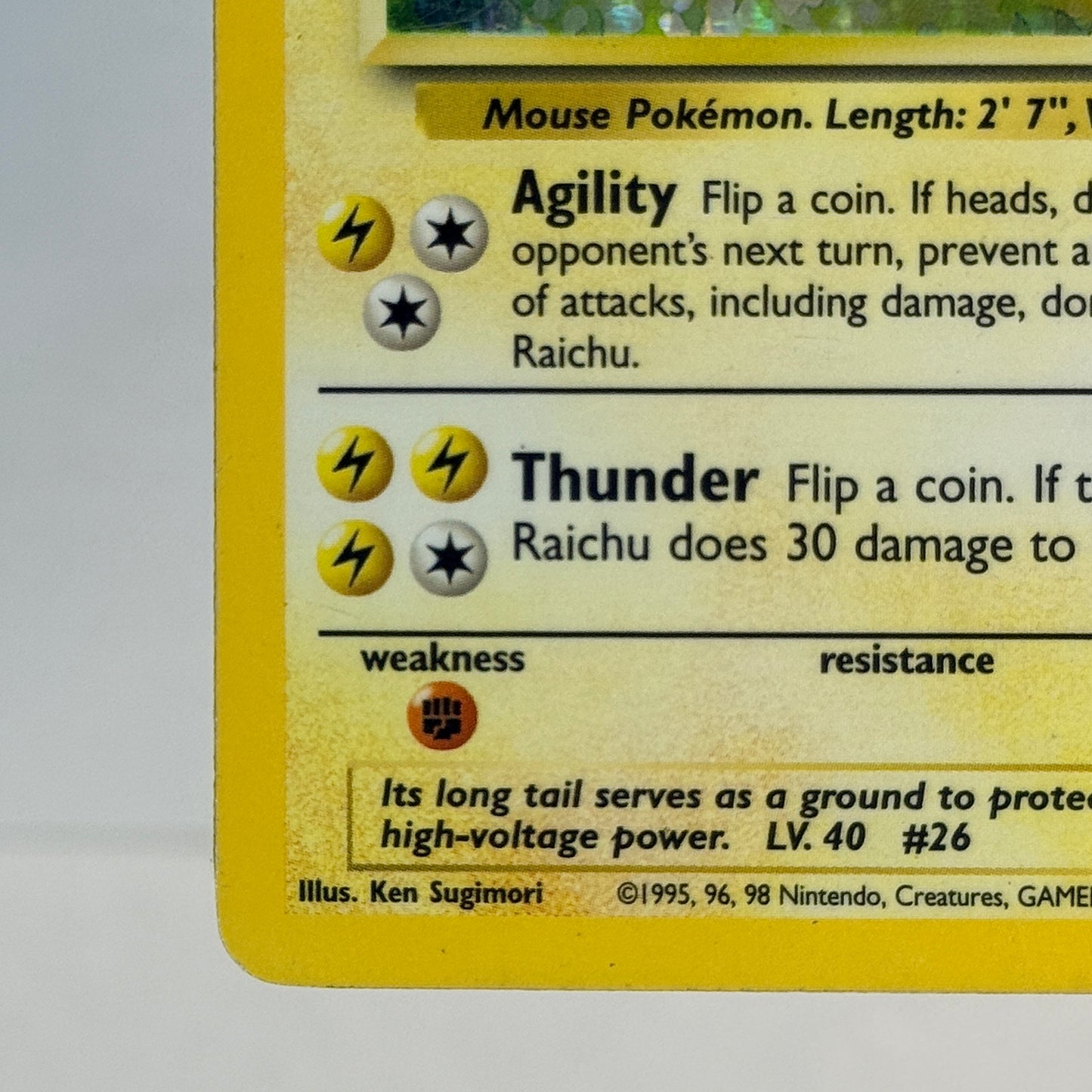 Raichu 14
