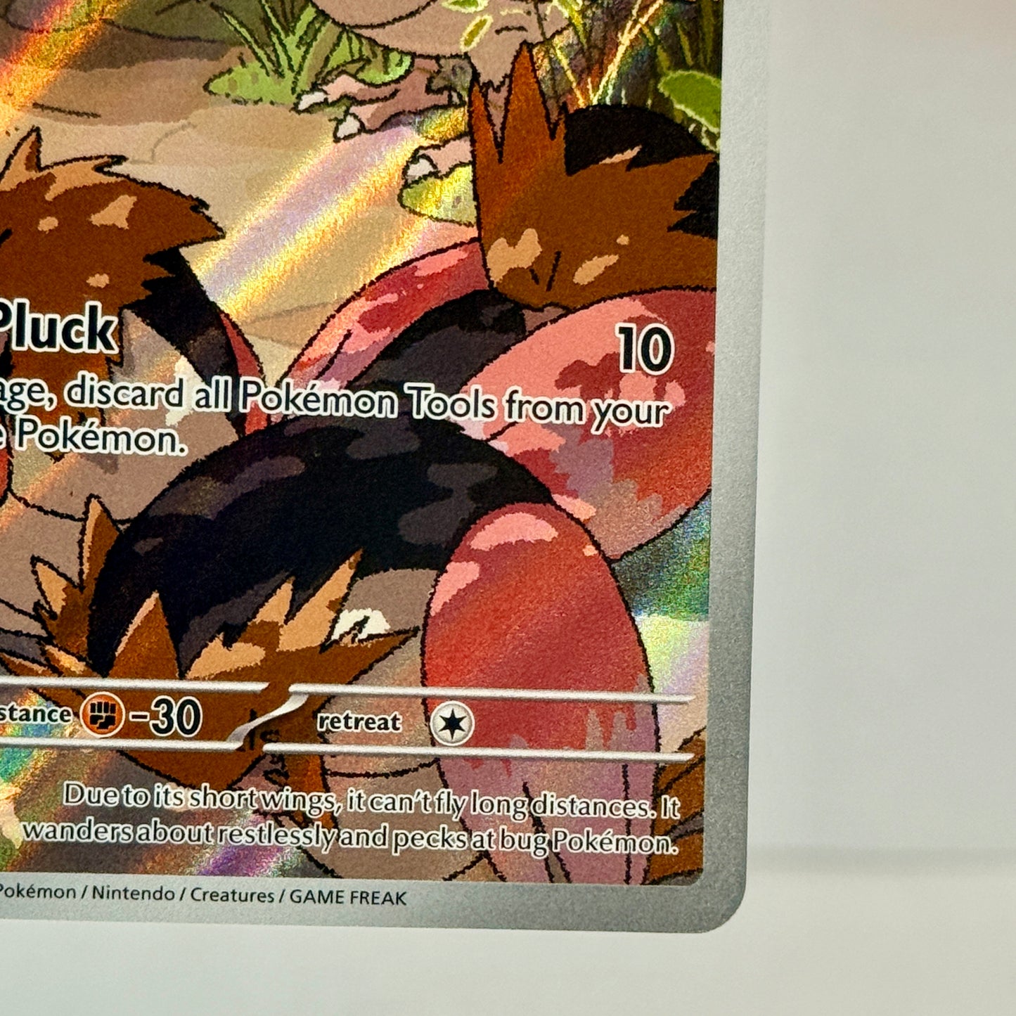 Spearow 151/132