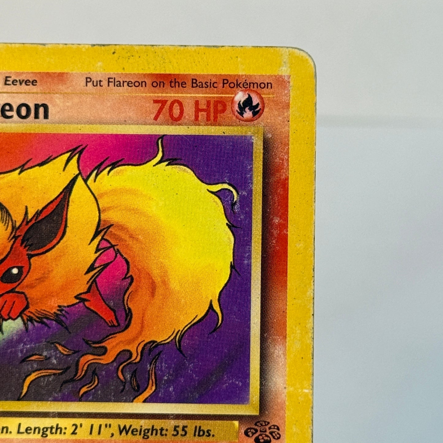 Flareon 19