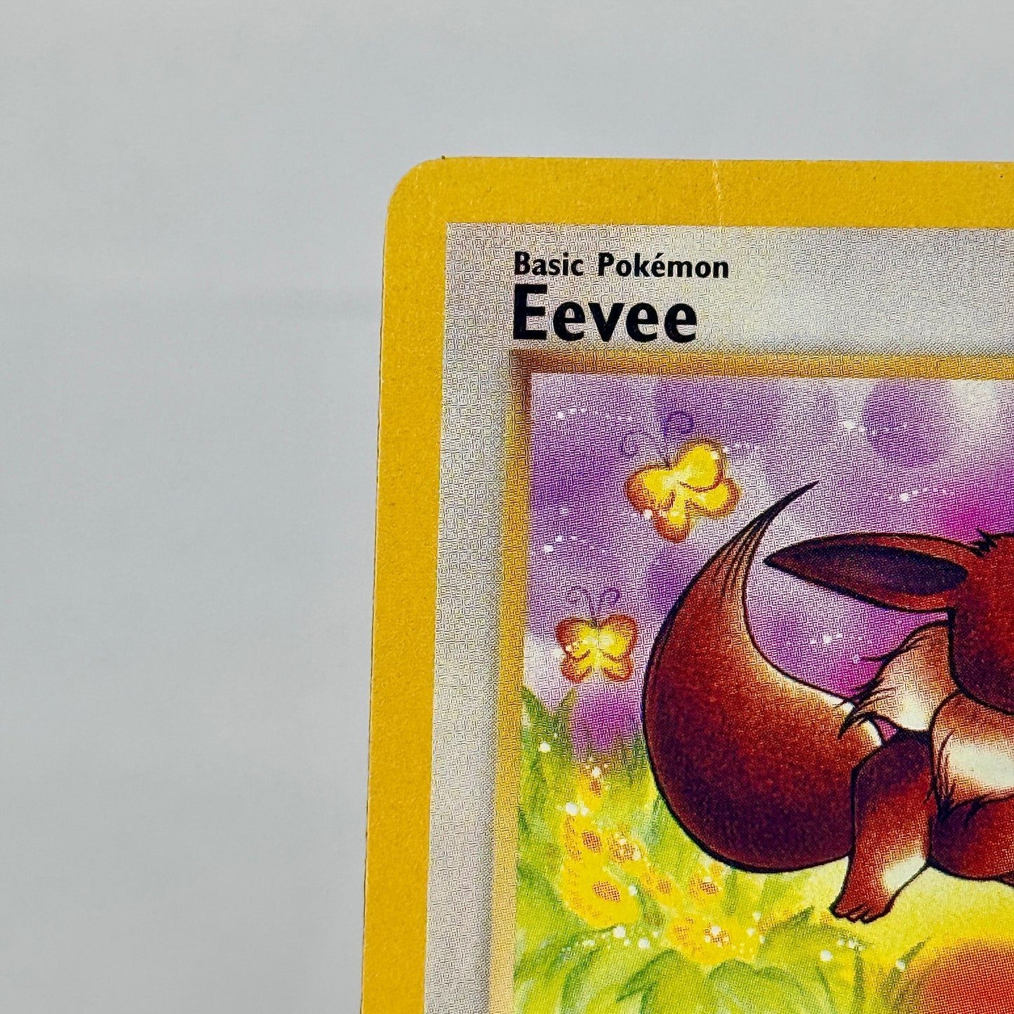 Eevee 51