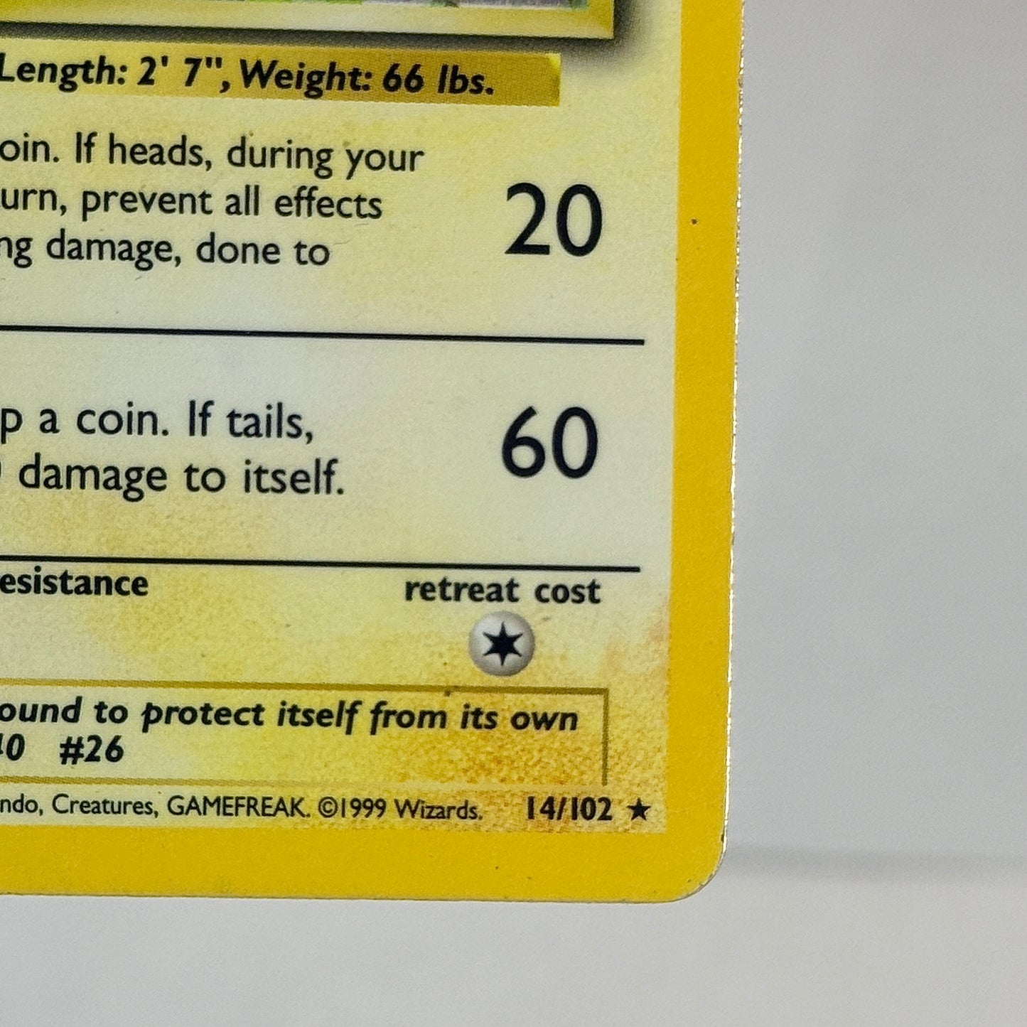 Raichu 14