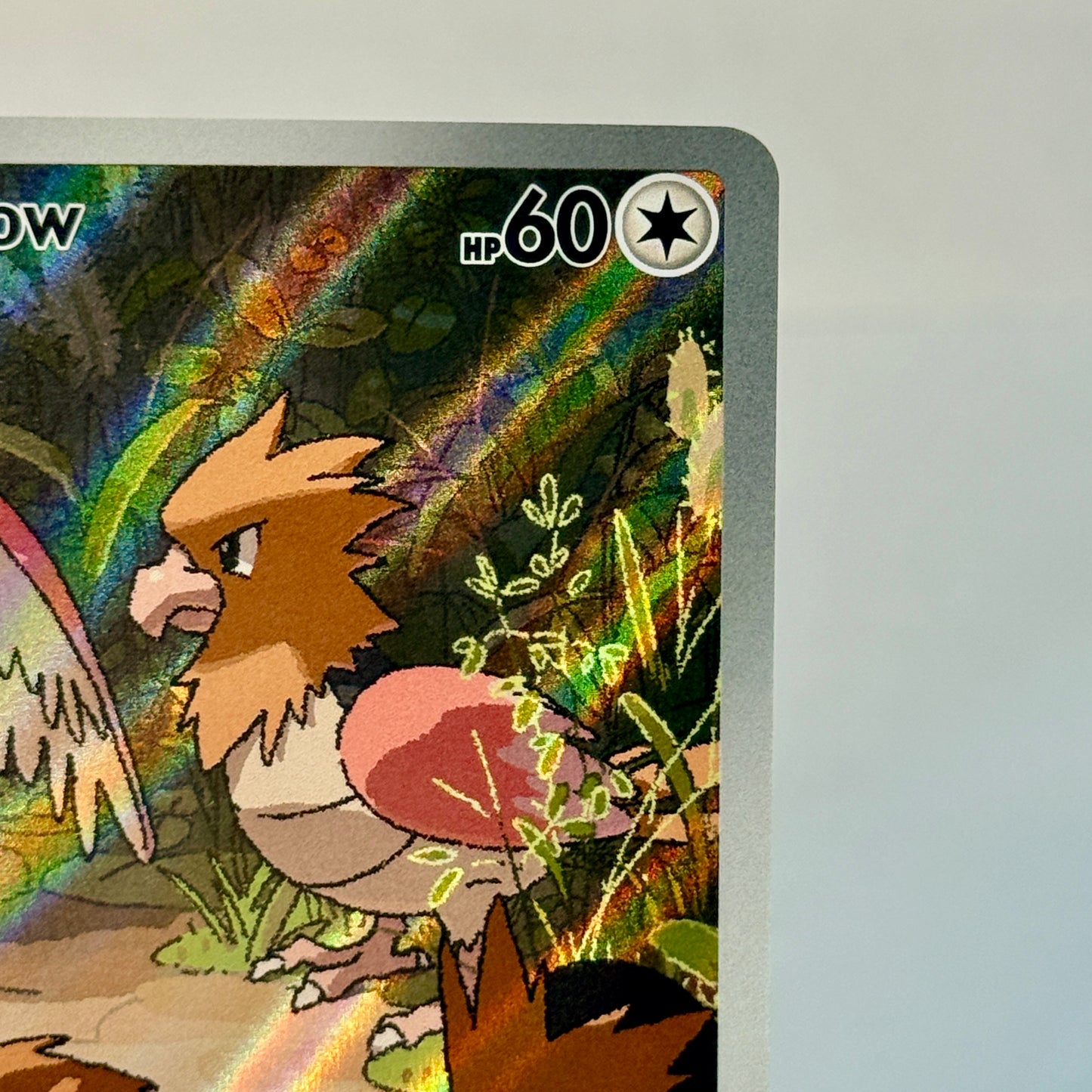 Spearow 151/132