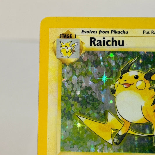Raichu 14