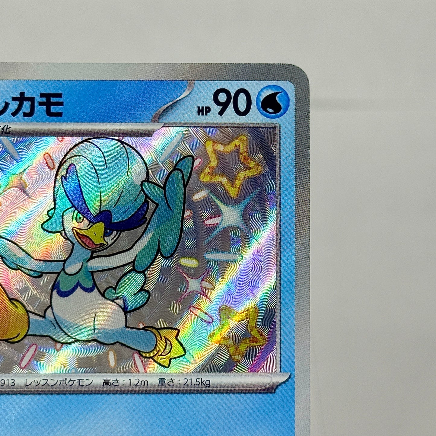 Quaxwell (JP) 225/190