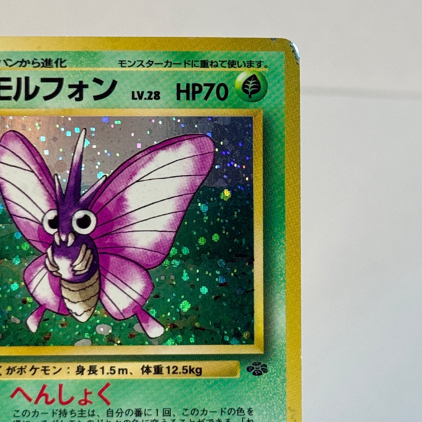 Venomoth (JP) 049